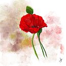 Entre abstracto y botánica . Projekt z dziedziny R, sunek c, frow, Trad, c, jna ilustracja, Ilustracja c i frowa użytkownika Maria José Vañó Vañó - 18.04.2025