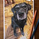 Retrato a lapiz de Andy . % Lucila Obholz tarafından hazırlanan Çizim, Geleneksel illüstras, on, Ve Güzel sanatlar projesi - 04.21.2025