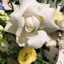 flowers. Een project van  Interieurdecoratie, Interieurontwerp, DIY, L, scaping y Bloem- en plantenschikken van marmun2069 - 21.04.2025