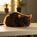 De la Quietud a la Explosión de Color: Un Proceso Creativo para Inspirar . Design AI de seterres - 04.21.2025