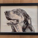 EMBROIDERY A REALISTIC PORTRAIT OF YOUR PET IN CROSS STITCH. Embroider, DIY, and Textile Design project by Alejandra Matiz Lopez - 04.21.2025