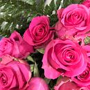 EL INICIO. Un projet de Art floral et végétal , et Théorie des couleurs de LAURA BEJARANO NEME - 22.04.2025