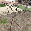Artes aplicadas: Chillido, la peineta al aire (Escultura encontrada). Un proyecto de Escultura de Sonia de Viana - 22.04.2025