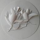 His Magnolias . % Ana Luísa Pinto tarafından hazırlanan Sanat ve El Sanatları, Geleneksel illüstras, on, Kağıt El Sanatları, He, Ve kel projesi - 04.22.2025