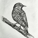 Black and white art. Drawing, Traditional illustration, Pencil Drawing, Video, and Realistic Drawing project by paloma_vilches - 04.22.2025
