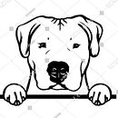 "Meu Pancho". Ilustração tradicional projeto de franurreta14 - 22.04.2025