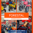 VOLANTE PROMOCIONAL FERRETERIA FORESTAL . Design grafic de Miguel Canto - 04.25.2025
