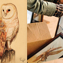 Animales Autóctonos . Projekt z dziedziny Trad, c, jna ilustracja, Ilustracja naturalist, czna, R i sunek botaniczn użytkownika Vanessa Huertas - 02.05.2025