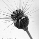 Diseño portada de libro. Un progetto di Br, ing, Br, identit, Design, Gestione progetti di design, Design digitale, Design editoriale, Graphic design e Tipografia di Agustina Battaglia - 02.05.2025