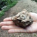 Un poco de todo... . Projekt z dziedziny Pisanie, Kreat, wność, Narracja, Portale społecznościowe, Kreat i wne pisanie użytkownika Yameli Duarte - 03.05.2025