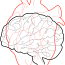 Cerebro y corazon. Un projet de Illustration numérique de Alexander López - 04.05.2025