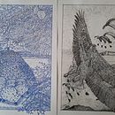 Meu(s) projeto(s) do curso: Ilustração com tinta e bico de pena: registre o mundo natural [ 1. "O Ninho na Vila" ; 2. "Liberdade de voar"; 3. "Outono"]. Un proyecto de Dibujo artístico, Dibujo, Ilustración con tinta, Ilustración naturalista				, Sketchbook y Bocetado de António Anjos Mendonça - 08.05.2025