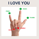 Sign Detection . Un progetto di Web development e Programmazione di Any Jacobo - 11.05.2025