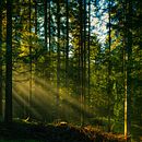 kolczyki . % Karolina Okrasa tarafından hazırlanan Sanat ve El Sanatları, Aksesuar Tasarımı, Ve Mücevher Tasarımı projesi - 05.13.2025