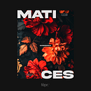 MATICES. Br, ing e Identidade, Stor, e telling projeto de fepaera - 14.05.2025