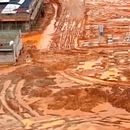 EDP linha de transmissão. Un progetto di Cinema, video e TV di TOMAZ AQUINO - 17.05.2025