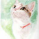 Expressive animals in watercolour with Sarah Stokes. Un progetto di Disegno realistico, Illustrazione tradizionale, Illustrazione naturalistica e Pittura ad acquerello di Amanda Heenan - 17.05.2025
