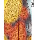 My project for course: Basic Principles of Graphic Design. Ein Projekt aus dem Bereich Br, ing und Identität, Design, Grafikdesign, Logodesign, T und pografie von rafaelfspedro - 17.05.2025