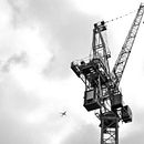 Photographic Series "Structures". Un progetto di Belle arti e Fotografia digitale di Turtle Ravenholt - 20.05.2025