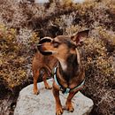 Coco y la playa . Een project van Fotografie, Portretfotografie, Lifest, le fotografie, Fotografie voor Instagram y  Documentairefotografie van naylenp - 21.05.2025