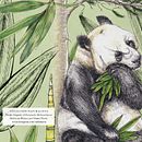 Colección Naturalista ⃒ Panda Gigante. Un projet de Illustration botanique, Illustration numérique, Illustration traditionnelle, Illustration à l'encre, Illustration naturaliste, Peinture , et Aquarelle de Diana Olvera - 23.05.2025