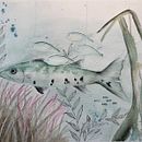 Barracuda and Friends. Projekt z dziedziny Trad, c, jna ilustracja, Ilustracja naturalist, czna,  Malarstwo i Malowanie akwarelą użytkownika Amy Lagers - 25.05.2025
