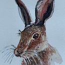 Animalario en acuarela. Un proyecto de Ilustración tradicional, Pintura a la acuarela, Bellas Artes e Ilustración naturalista				 de Maika Mora - 01.06.2025
