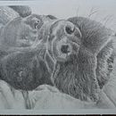 Sleepy Boy. Un progetto di Disegno realistico e Disegno a matita di Catherine Hackett - 05.06.2025