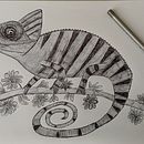 Da Lumaca a Camaleonte Ein Projekt aus dem Bereich Zeichnung, Illustration mit Tinte, Sketchbook und Skizzenentwurf von patriziap - 07.06.2025