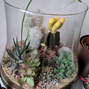 Terrarium. Decoração de interiores, Design de interiores, DIY, Paisagismo, e Design floral e vegetal projeto de peggyvanzetten - 08.06.2025
