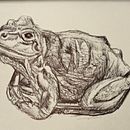 Ballpoint pen sketches. Un projet de Dessin, Illustration à l'encre, Carnet de croquis , et Esquisse  de y7dfcnx8rv - 08.06.2025