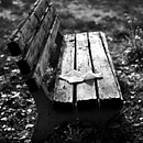 The Wait. Un projet de Production audiovisuelle, Cinéma, Réalisation, Scénario , et Vidéo de Loren Qualls - 10.06.2025