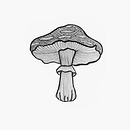 Fungario. Een project van  Tekening,  Illustratie met inkt, Sketchbook, Tekening met potlood y  Schetsen van Valeria O. Pérez - 13.06.2025