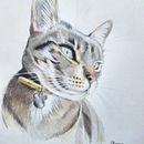 Marina en lápices de colores . Ilustrație tradițională & Ilustrație naturalistă de Andrea Barros - 06.18.2025