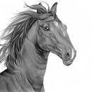 Horse - Realistic Drawings in Pencil. Desenho, Artes plásticas, Ilustração naturalista, Desenho a lápis, e Desenho realista projeto de Kamila Tudek - 24.06.2025
