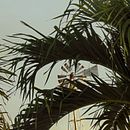 EN PROCESO. Un proyecto de Fotografía y Escritura de Monica Choza Romero - 24.06.2025