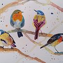 Sarah Stokes Birds Course. Een project van Aquarelschilderen van myrviel - 26.06.2025