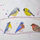 Bird Party. Pintura em aquarela projeto de Millie - 27.06.2025