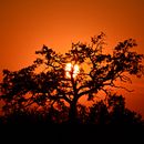 Sol juguetón. Un proyecto de Fotografía, Fotografía artística, Fotografía para Instagram y Fotografía en exteriores de Karol Sissa - 29.06.2025