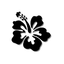 Criação da própria marca de moda - Mahahi Brand. Projekt z dziedziny Komunikacja, Projektowanie dodatków, Projektowanie mod i Marketing użytkownika Eduarda Dutra - 01.07.2025