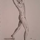 Progetto finale del corso "Introduzione al disegno anatomico a carboncino"". Un progetto di Disegno, Disegno anatomico, Belle arti, Disegno realistico e Illustrazione tradizionale di Samuele Campelli - 04.07.2025