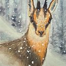 Chamois. Un projet de Dessin réaliste, Illustration traditionnelle, Illustration naturaliste , et Aquarelle de jutta_loeffler - 05.07.2025