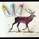 🥳Free video of a watercolour Stag painted in CMYK . Watercolor Painting project by Sarah Stokes - 07.08.2025