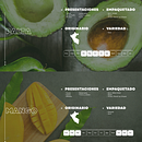 Catálogo Ara export. Een project van Grafisch ontwerp,  Br e ing en identiteit van Sheyla Tamara Castillo Vásquez - 08.07.2025