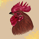 Rooster inspiration. Un proyecto de Ilustración digital de Cristina-Denisa Malyar - 14.07.2025