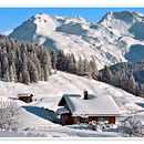Un pino en la nieve.. Creative Writing, Non-Fiction Writing, Narrative, Stor, telling, Writing, Editorial Design, Instagram, Cop, and writing project by milenafossatb - 07.16.2025