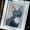 Projeto Final Curso Realismo de Pets. Projekt z dziedziny Trad, c, jna ilustracja, Ilustracja naturalist i czna użytkownika gabilkartista - 16.07.2025