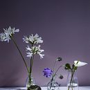 My garden. Un projet de Photographie artistique, Photographie lifest, le , et Photographie de produits de olga_kuzhel_kelder - 17.07.2025