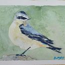 Pájaros en su entorno. Projekt z dziedziny Trad, c, jna ilustracja, Ilustracja naturalist, czna i Malowanie akwarelą użytkownika Beatriz Fid - 19.07.2025
