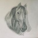 Horse. Un proyecto de Dibujo, Bellas Artes, Ilustración naturalista				, Dibujo a lápiz y Dibujo realista de monkeybususa - 21.07.2025